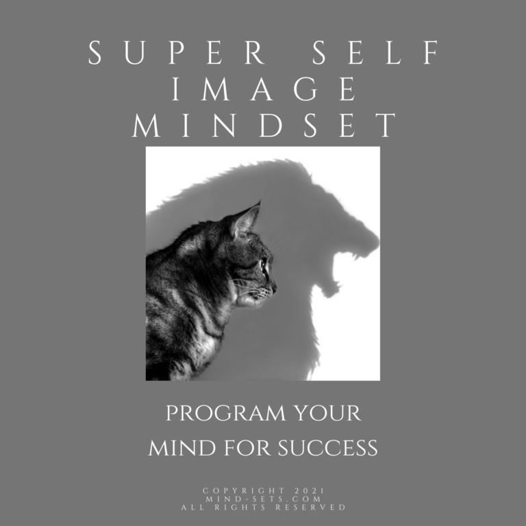 Mindset Transformation – MIND-SETS